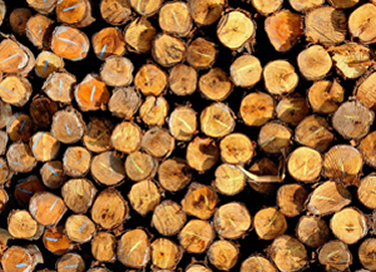 Firewood Supplies Nelson