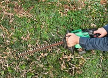 Hedge Trimming Nelson