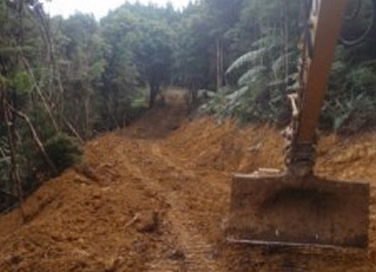 Site Clearing