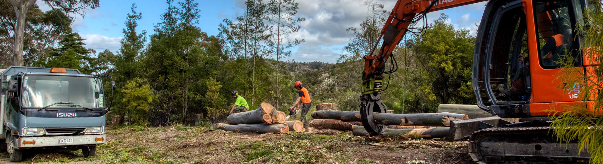 professional tree services Nelson