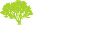 Saunders Tree Services Nelson